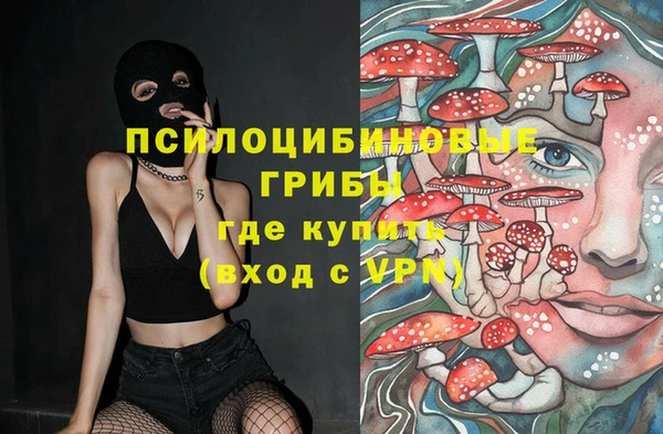 прущий лед Верея