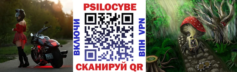 гидра зеркало  Луховицы  Галлюциногенные грибы прущие грибы 